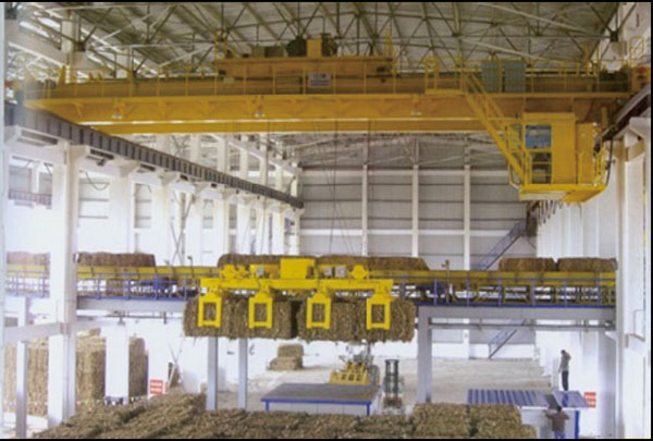 Pulping and Paper Making Industry Cranes