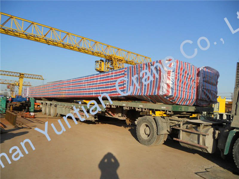 20t Double girder gantry crane delivery to Pakistan