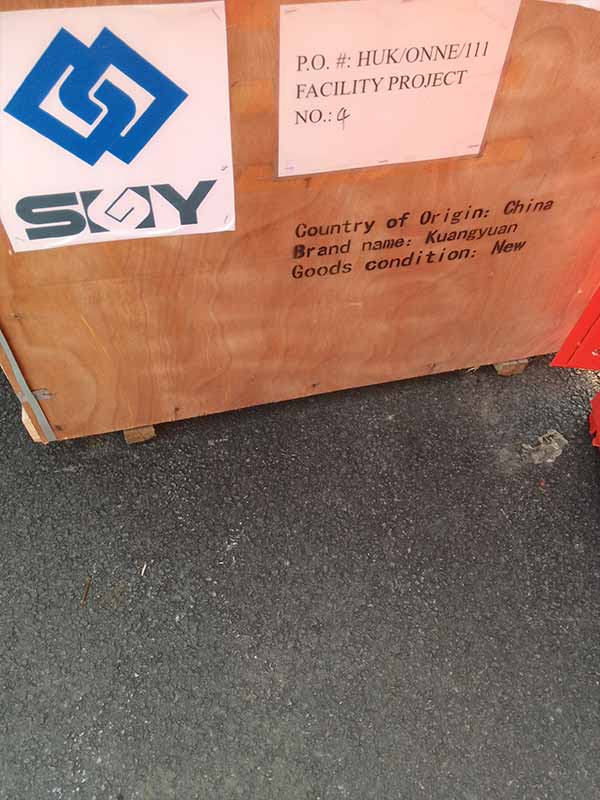 QD30T+LDP10T delivery to Nigeria.jpg